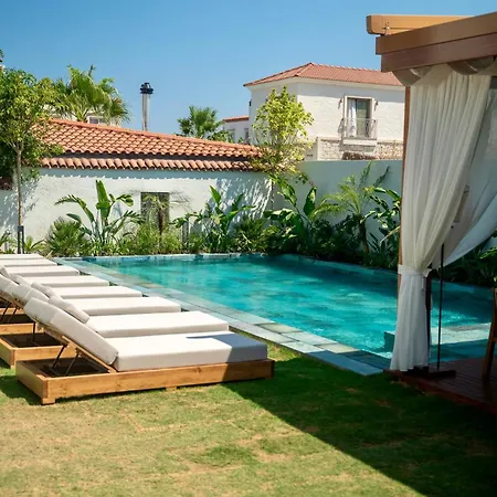 Zenoa * אלאקאטי